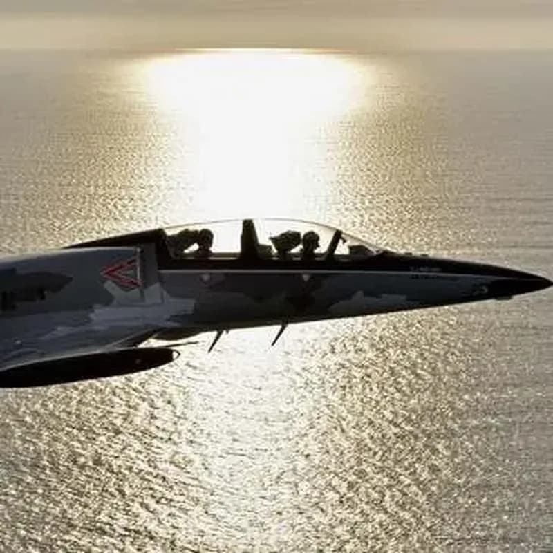 Initiation au Pilotage d'Avion de Chasse à Reims