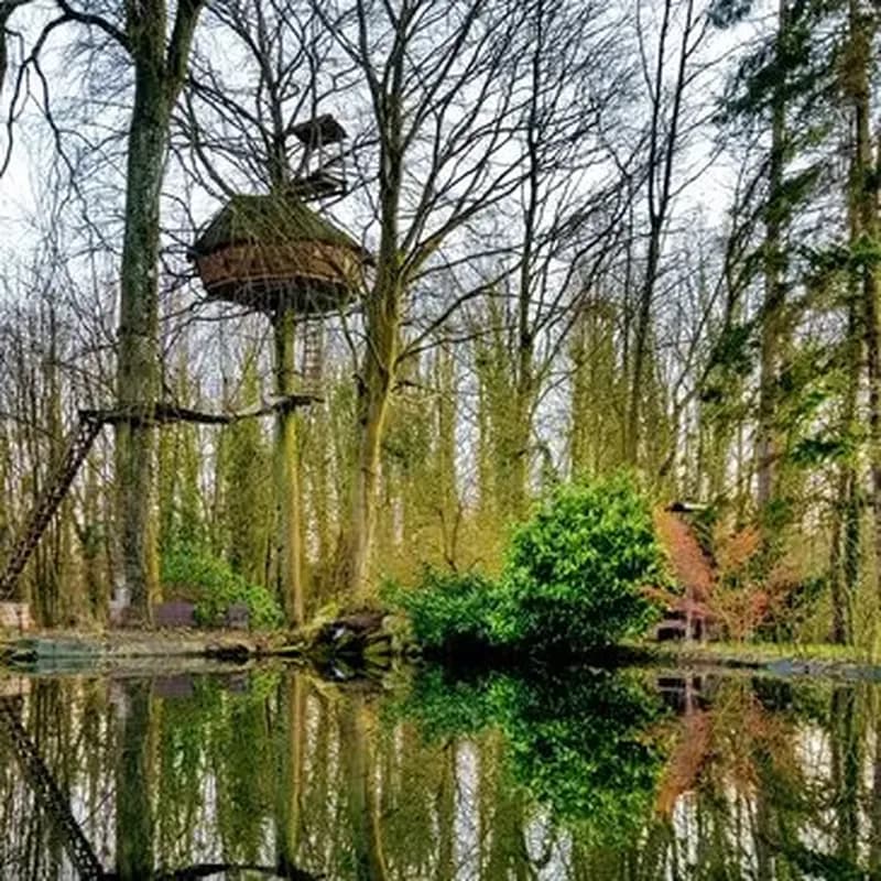 Cabane dans les Arbres avec Spa près du Touquet