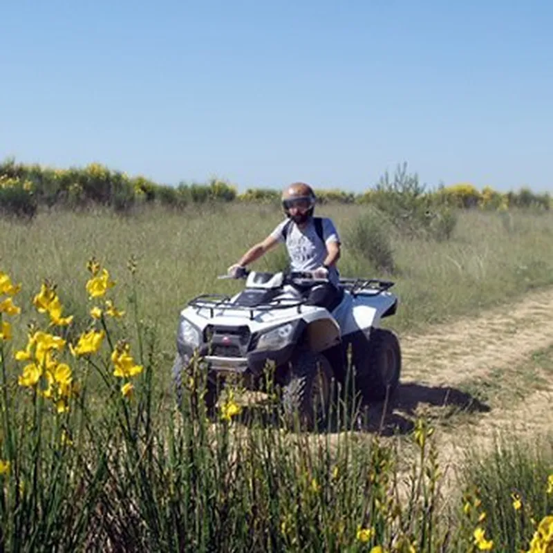Randonnée en Quad près d'Avignon