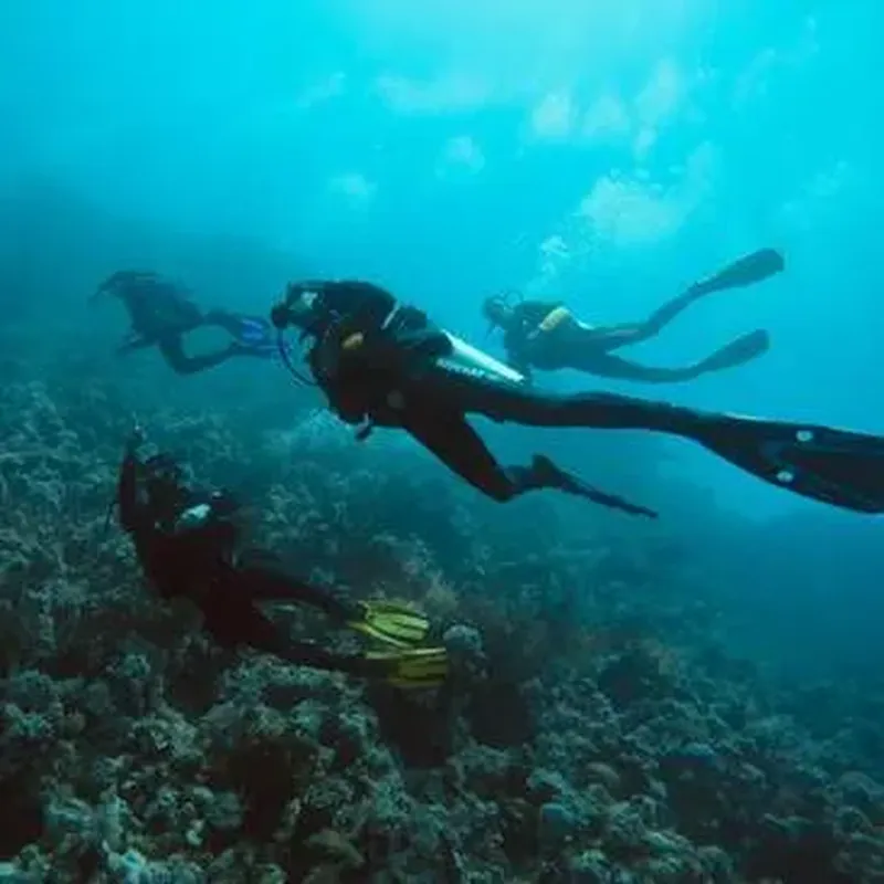 Initiation à la plongée à Angers