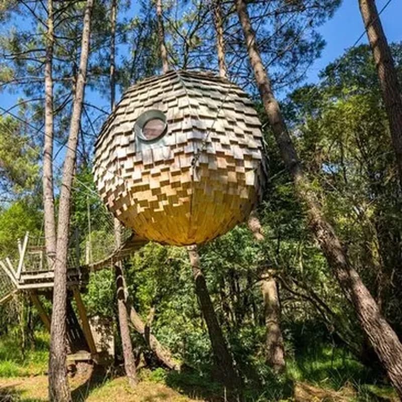 Nuit en Lov'Nid avec Spa près de Carnac