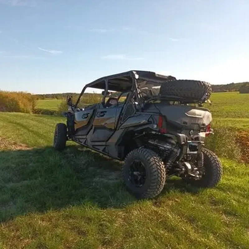 Randonnée en Buggy près de Fontainebleau
