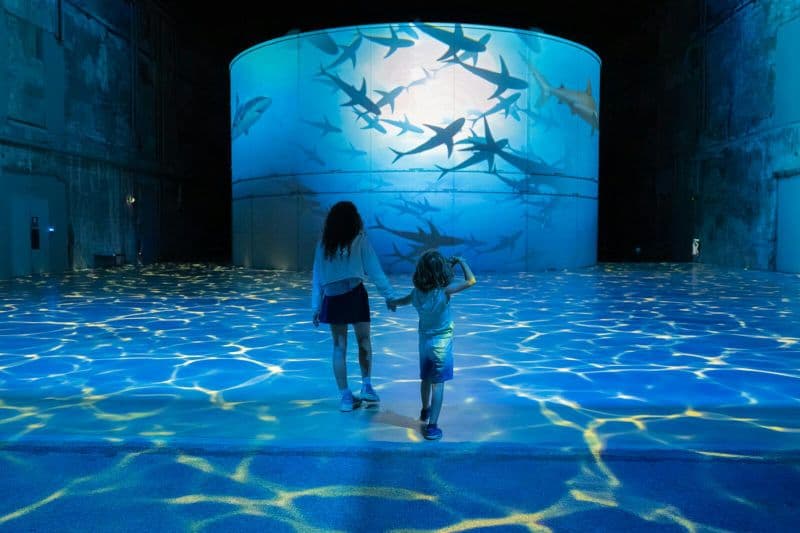 Les Bassins des Lumières : Océan