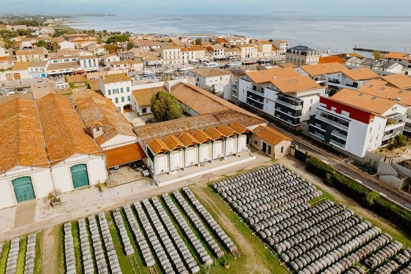 Maison Noilly Prat : Visite historique guidée + dégustation de vin