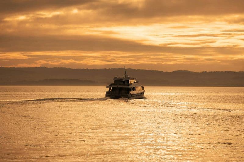 Phillip Island : Croisière au coucher du soleil
