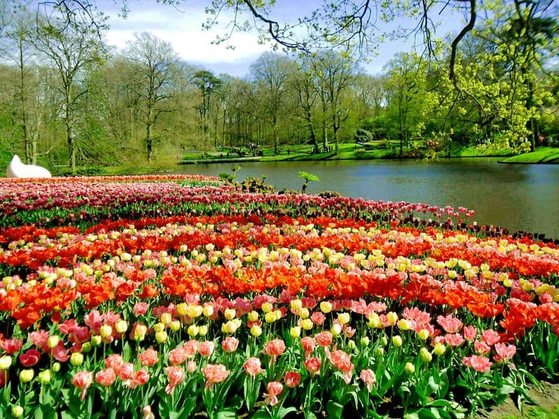 Printemps hollandais Combo: Keukenhof et Madurodam
