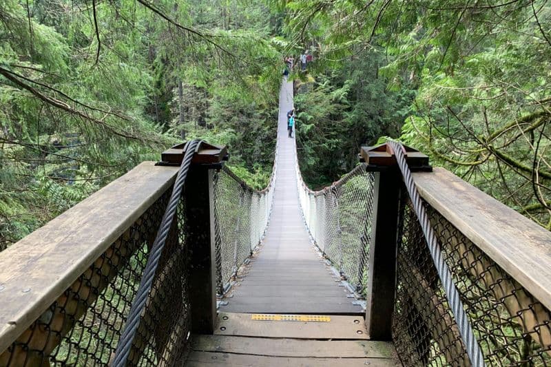 Vancouver : Randonnée guidée dans la forêt tropicale avec chutes d'eau et pont suspendu + transfert