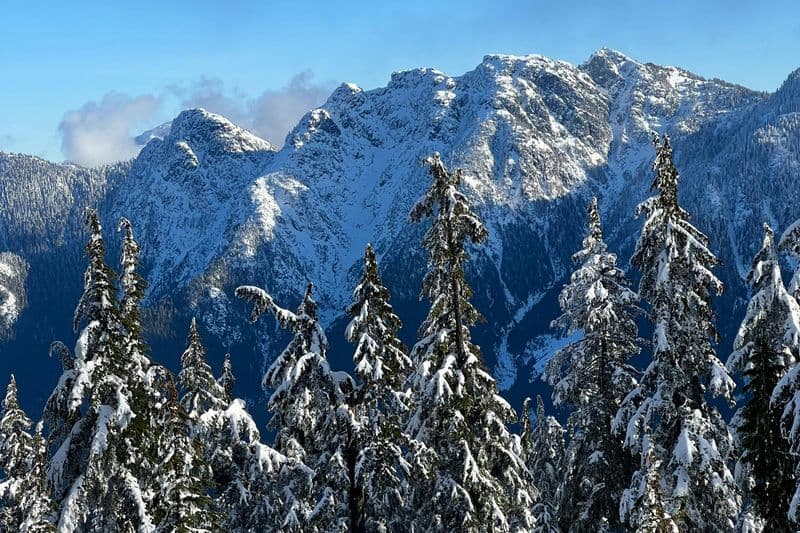 Vancouver : Excursion guidée en raquettes