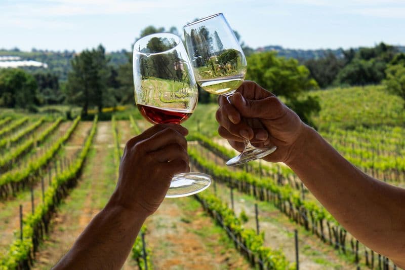 Algarve : Visite guidée de dégustation de vins à partir d'Albufeira