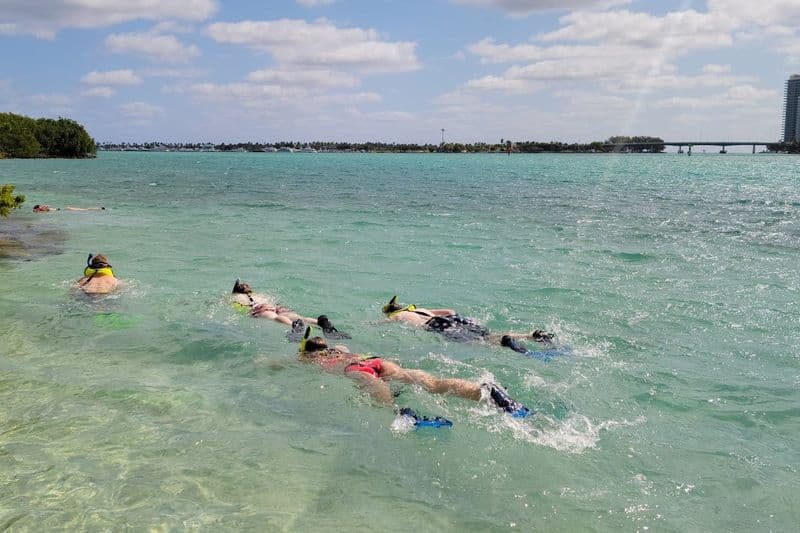 Miami : Visite de l'île avec masque et tuba en SUP ou en kayak