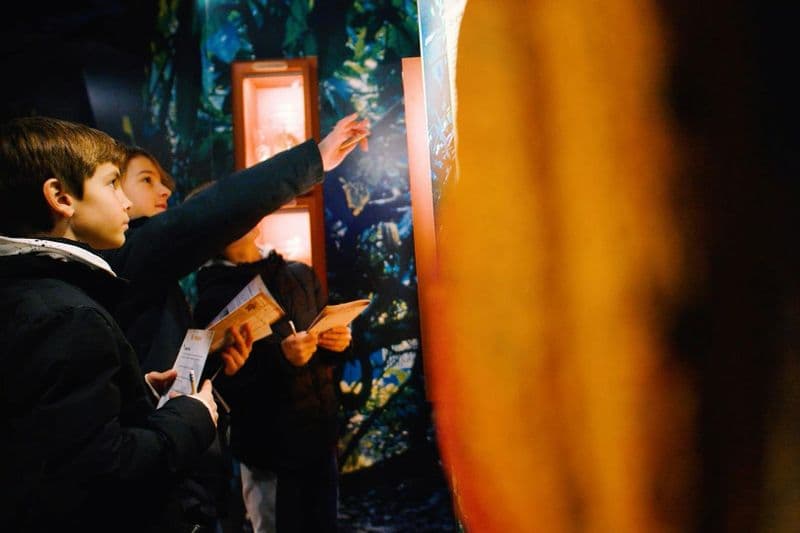 Choco-Story Paris - Musée du Chocolat