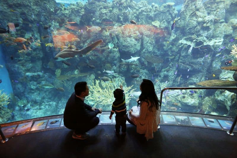 Coupon d'adhésion pour Aquarium of the Pacific
