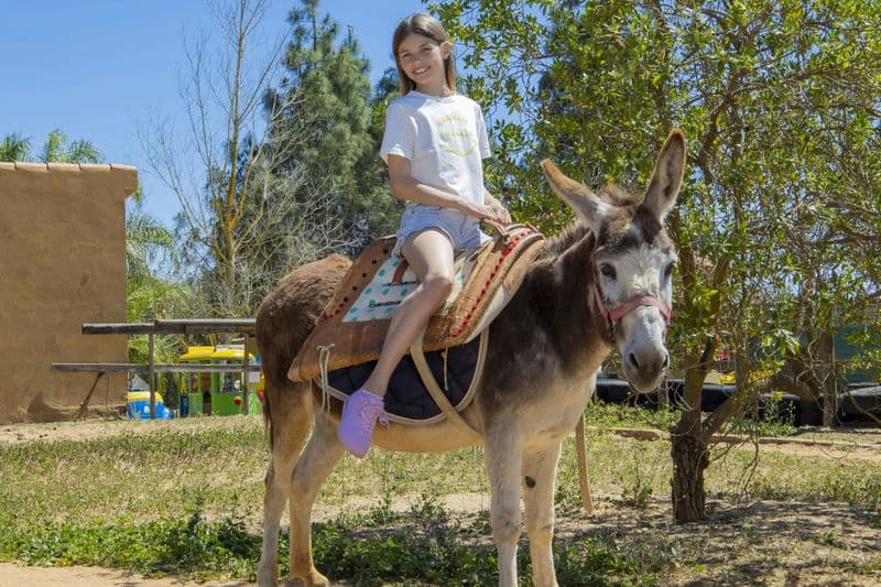 Parc Krazy World Algarve  : billet d'entrée