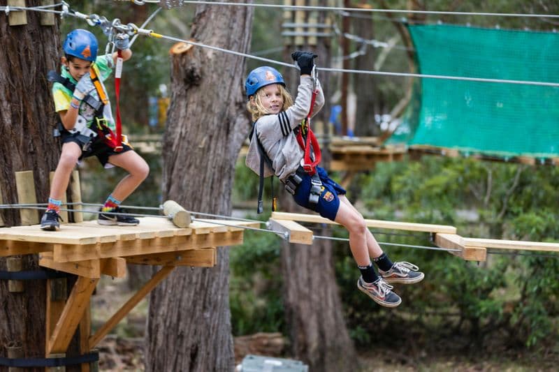 Treetops Adventure Coffs Harbour : Parcours d'accrobranche junior