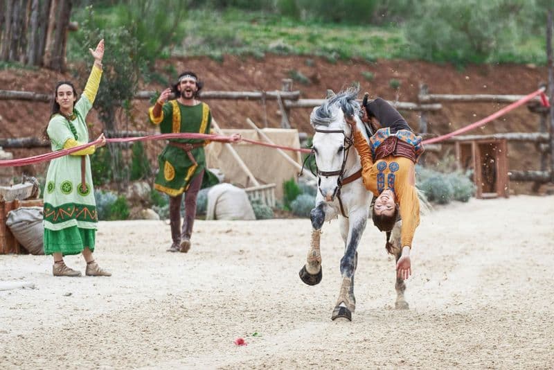 Puy du Fou España : Accès au parc