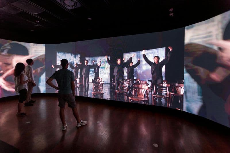 Musée de la Danse Flamenco - Musée uniquement