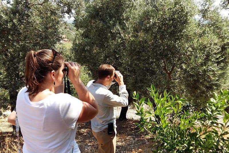 Excursion d'observation des oiseaux au départ de Kusadasi