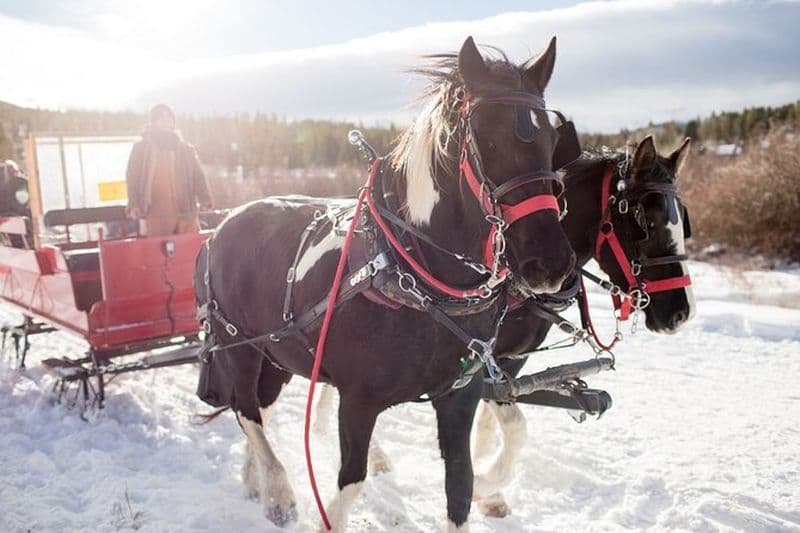 Balade en traîneau tiré par des chevaux de Noël au départ de Salzbourg