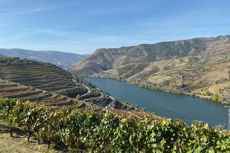 Vallée du Douro et Porto de Lisbonne - Dégustation de vins et fromages