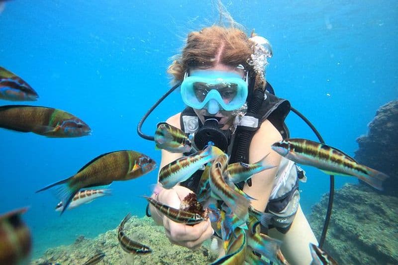 Plongée sous-marine d'une demi-journée aux chutes de Duden
