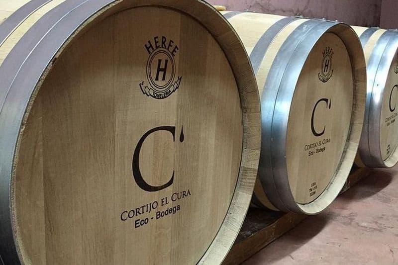 Almería Visite de l'Eco Winery Cortijo El Cura et dégustation de vin