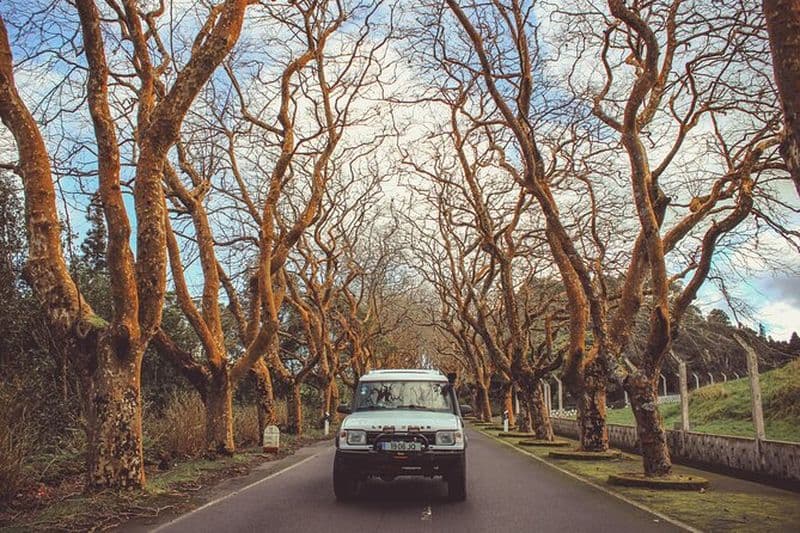 De Angra : Excursion d'une journée en jeep sur l'île de Terceira (privée)