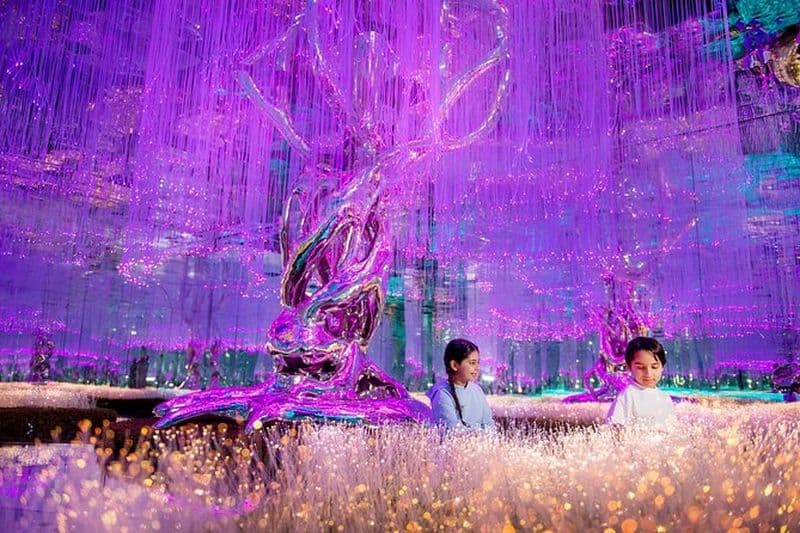 Parc son et lumière AYA Universe à Dubaï avec transfert en option
