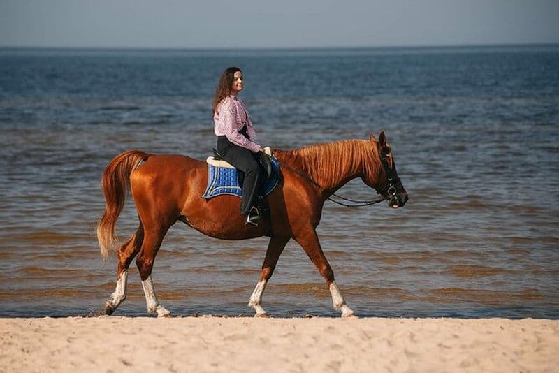 Équitation privée sur la plage de Riga