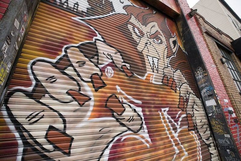 Safari photo à Brooklyn Grafitti