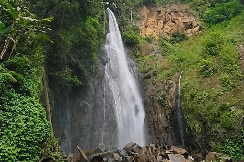 Jardin botanique de Bogor et forêt tropicale Trekking à la cascade cachée