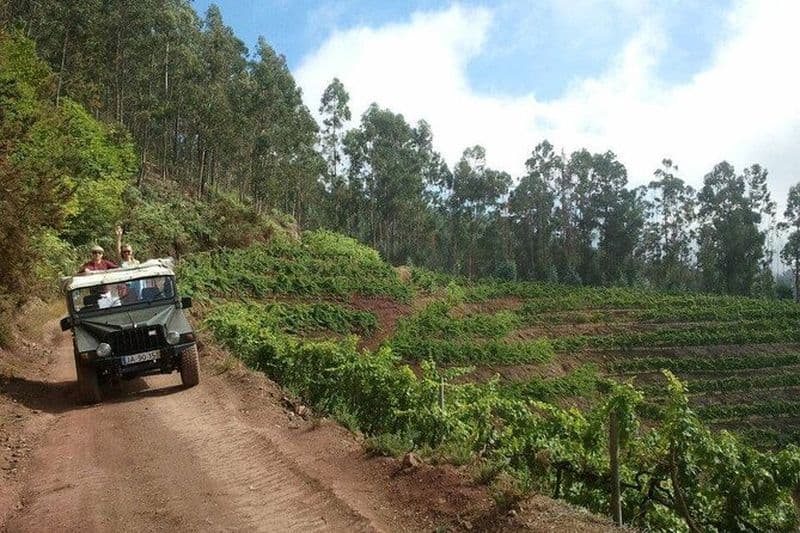 Safari 4x4 Demi-journée Poncha, Montagnes, Vignobles et Cabo Girão Petit groupe
