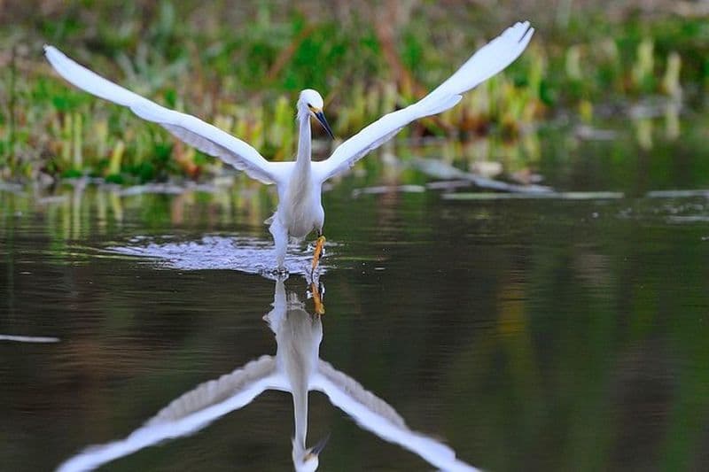 Nature et Trek privés et exclusifs à Chorrillos