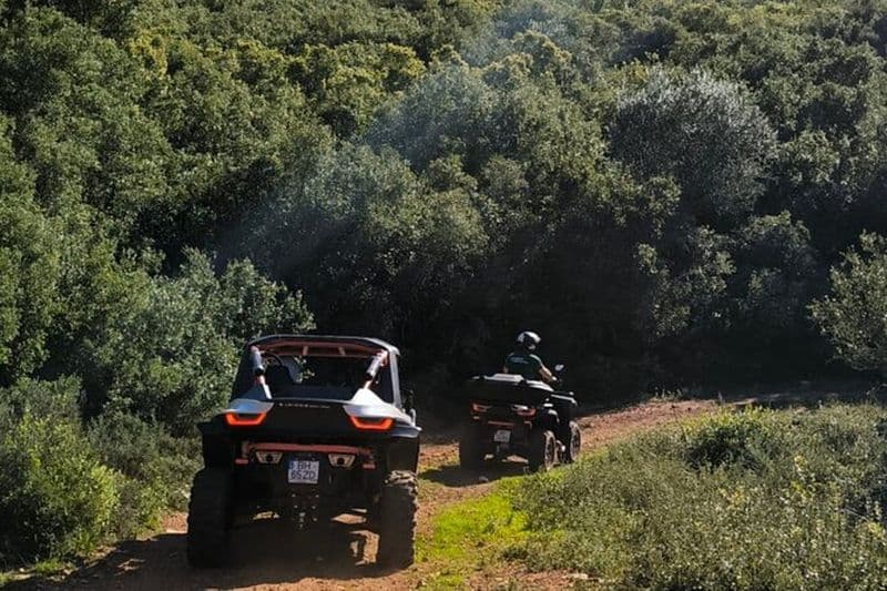 Coimbra Buggy Adventures - baptême de 60 minutes