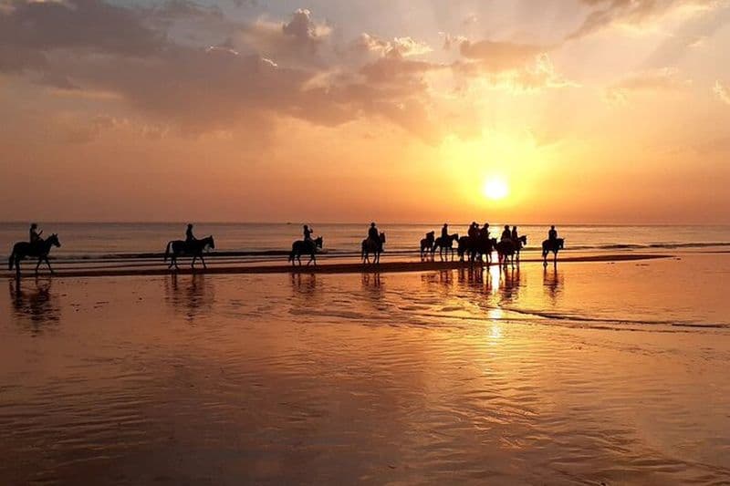 Superbe Sundown Beach Balade à cheval ! MINIMUM 2 PARTICIPANTS
