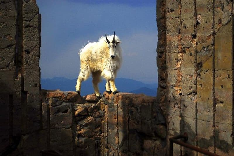 Mont Blue Sky, Clear Creek Canyon et Red Rocks Park (Mont Evans)