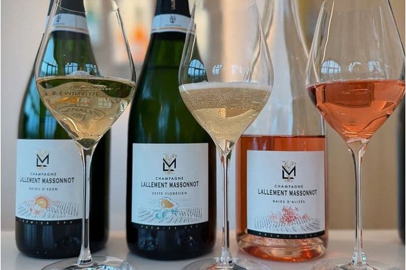 Vignoble et Triple Dégustation Premier Cru en Montagne de Reims