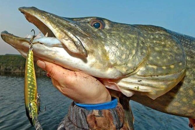 Pêche au brochet. Lough Corrib, Connemara. Ghillie parlant anglais / français.