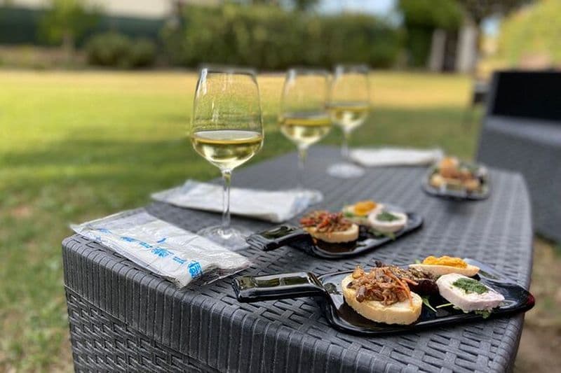 Visite guidée en vélo électrique avec dégustation dans la cave