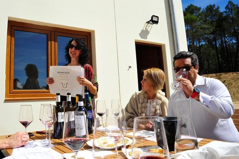 Ribera del Duero Wineries Visite guidée et dégustation de vin au départ de Madrid