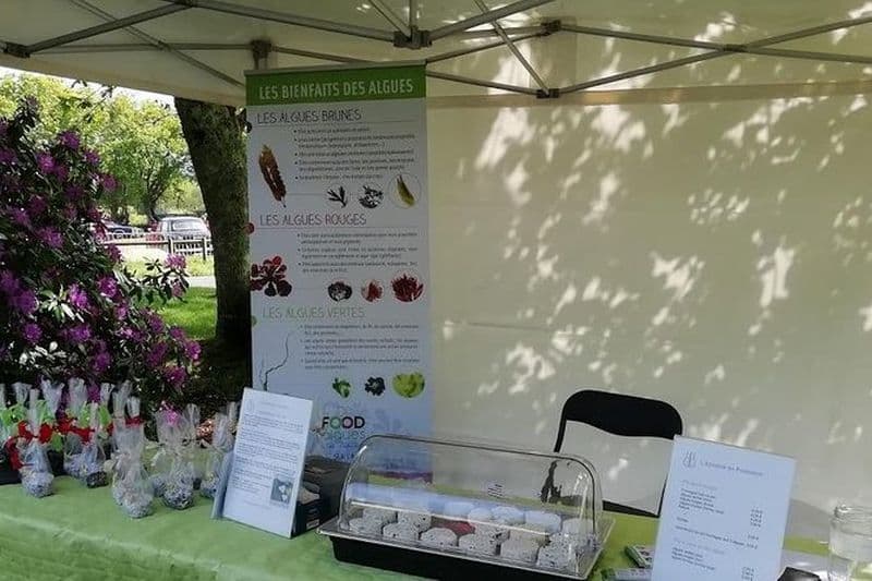 Dégustation de fromages aux algues