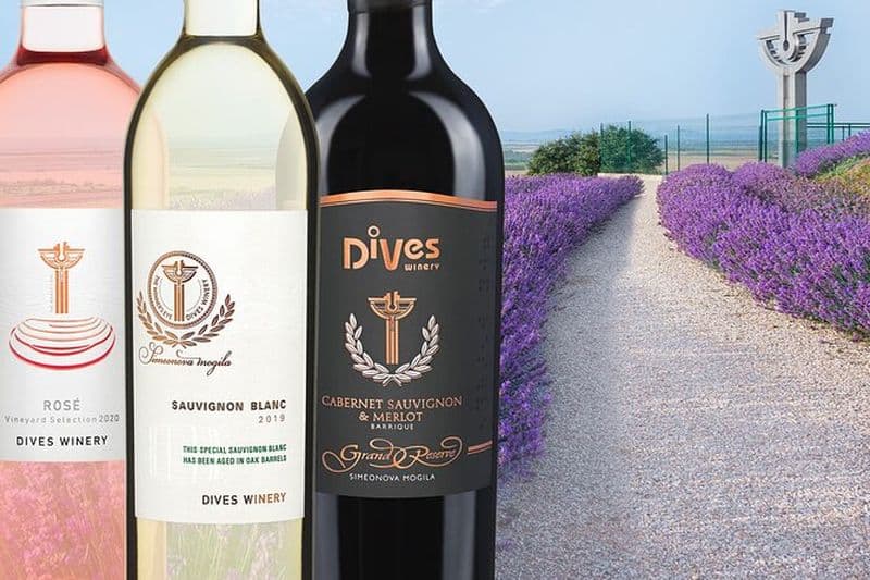 Visite spéciale d'histoire et de vin avec dégustation de vins