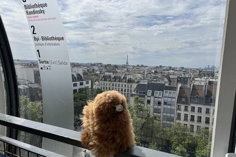 Centre Pompidou : billet d'entrée au musée et visite guidée privée de 3 heures