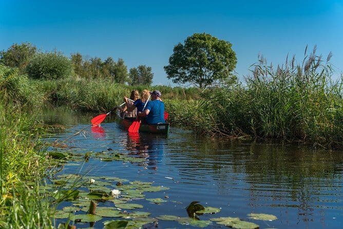Visite du nez frais avec le canoë à travers la nature près d'Amsterdam