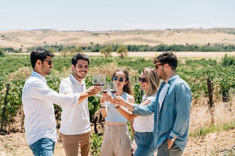 Visite de Tolède et promenade des vignobles avec dégustation de vin de Madrid