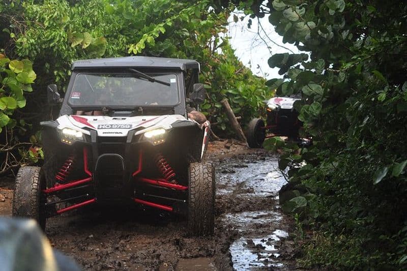 Northern Sights - Buggy dans le nord