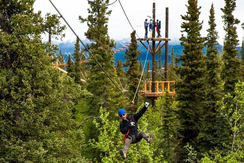 Denali Park Zipline Aventure