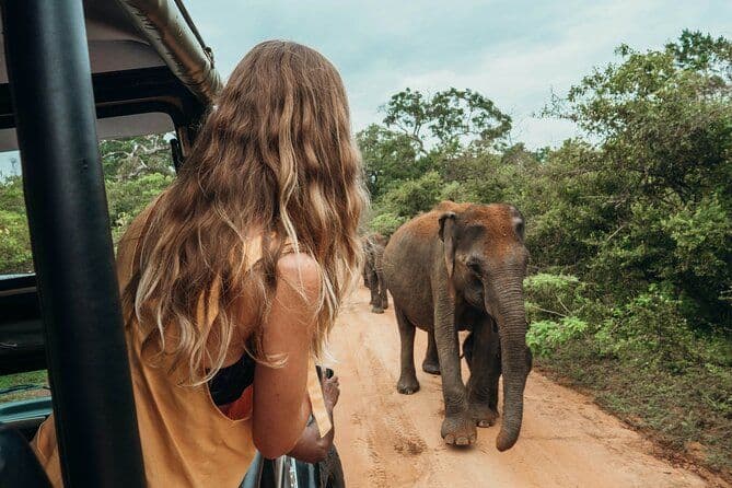 Safari national Ella to Mirissa Shuttle & Udawalawe