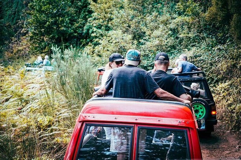 Billet Safari d'une demi-journée en petit groupe à Madère au départ de Funchal