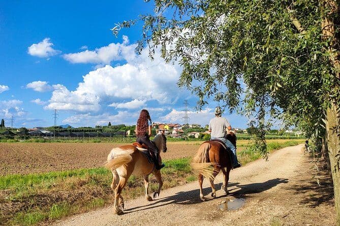 Balade à cheval avec Pic Nic dans la campagne du Lazise