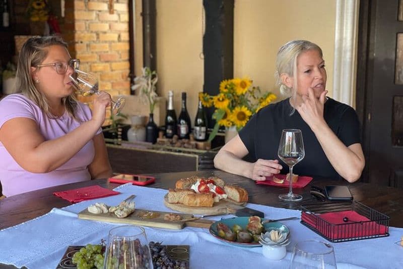 Dégustation de vins dans la campagne de Plesivica